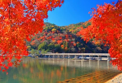 부산출발 오사카 3일 6명이상출확 이스타항공 시내호텔연박 교토 아라시야마 나라 USJ선택 DAY 2 여행 사진